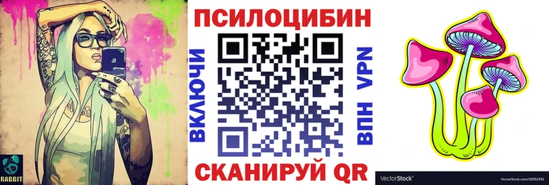 где можно купить   Ревда  Псилоцибиновые грибы GOLDEN TEACHER 